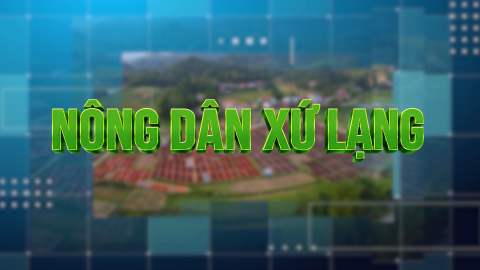 CM N&ocirc;ng d&acirc;n Xứ Lạng ng&agrave;y 18/8/2026