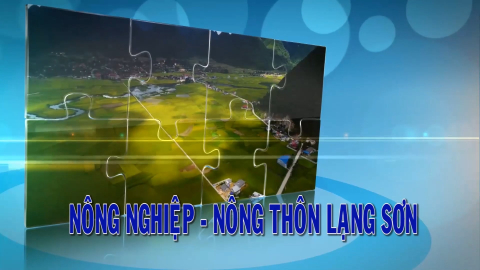 CM Nông nghiệp - Nông thôn Lạng Sơn ngày 26/04/2025	