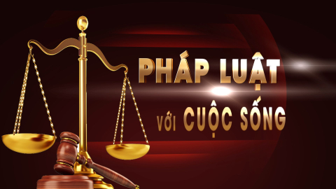 CM Pháp luật với cuộc sống ngày 08/03/2025
