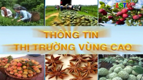CM Thông tin thị trường vùng cao - Số 11/2025