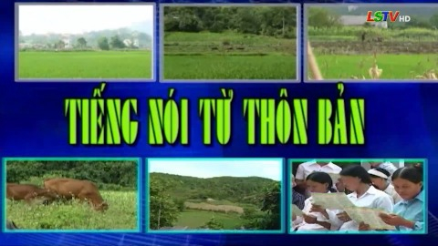 CM Tiếng nói từ thôn bản - Số 46/2025