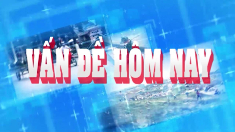 CM Vấn đề h&ocirc;m nay ng&agrave;y 09/01/2026