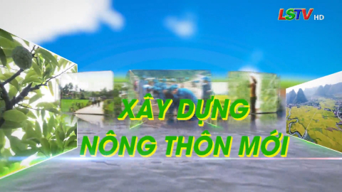 CM Xây dựng nông thôn mới ngày 06/02/2022