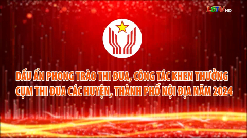 Dấu ấn phong trào thi đua, công tác khen thưởng cụm thi đua các Huyện, Thành phố nội địa năm 2024