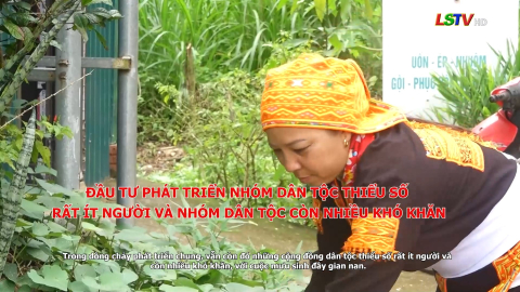 Đầu tư v&agrave; ph&aacute;t triển nh&oacute;m d&acirc;n tộc thiểu số rất &iacute;t người v&agrave; nh&oacute;m d&acirc;n tộc c&ograve;n nhiều kh&oacute; khăn (Dự &aacute;n 9)