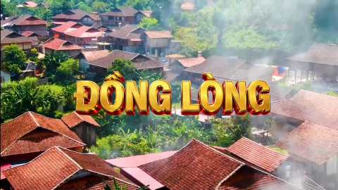 Đồng l&ograve;ng