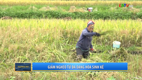 Giảm ngh&egrave;o từ đa dạng h&oacute;a sinh kế