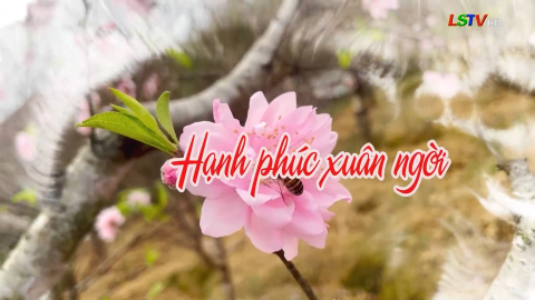 Hạnh phúc xuân ngời