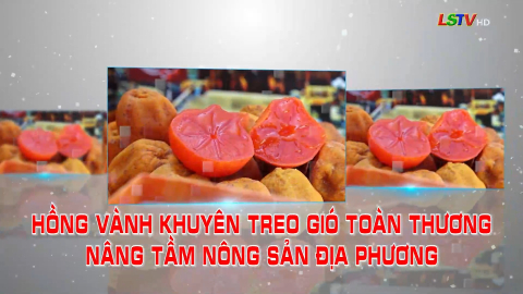Hồng Vành Khuyên treo gió Toàn Thương nâng tầm nông sản địa phương