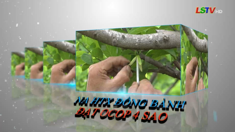 HTX dịch vụ và sx nông nghiệp Đồng Bành với sản phẩm na dai nổi tiếng