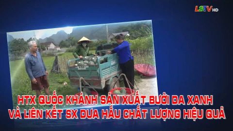 HTX Quốc Khánh sản xuất bưởi da xanh và liên kết sản xuất dưa hấu chất lượng hiệu quả