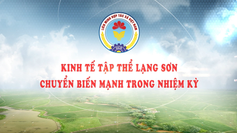 Kinh tế tập thể Lạng Sơn chuyển biến mạnh trong nhiệm kỳ