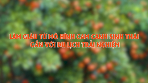 L&agrave;m gi&agrave;u từ m&ocirc; h&igrave;nh cam canh sinh th&aacute;i gắn với du lịch trải nghiệm