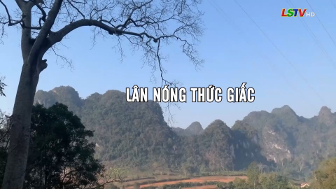 L&acirc;n N&oacute;ng thức giấc