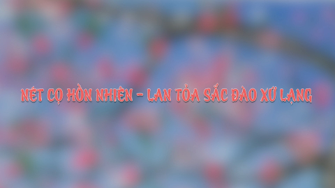 N&eacute;t cọ hồn nhi&ecirc;n - Lan tỏa sắc đ&agrave;o Xứ Lạng