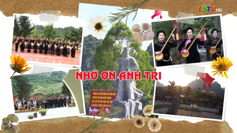 Ca nhạc: Nhớ ơn anh Tri