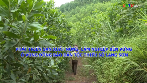 Ph&aacute;t triển sản xuất n&ocirc;ng, l&acirc;m nghiệp bền vững ở v&ugrave;ng đồng b&agrave;o d&acirc;n tộc thiểu số Lạng Sơn