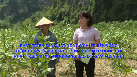 Ph&aacute;t triển sản xuất n&ocirc;ng nghiệp bền vững từ nguồn vốn chương tr&igrave;nh mục ti&ecirc;u quốc gia ph&aacute;t triển KTXH v&ugrave;ng đồng b&agrave;o DTTS v&agrave; miền n&uacute;i (Dự &aacute;n 3)