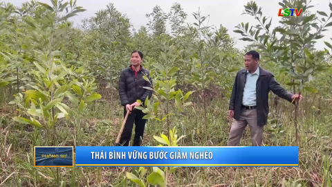 Th&aacute;i B&igrave;nh vững bước giảm ngh&egrave;o