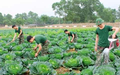 Tạo bước chuyển mạnh mẽ, vững chắc, nâng cao chất lượng công tác hậu cần quân đội