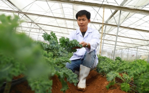 G&aacute;nh nợ 7 tỷ đồng v&igrave; lũ: 8X Thanh H&oacute;a vực dậy, l&agrave;m gi&agrave;u nhờ n&ocirc;ng sản