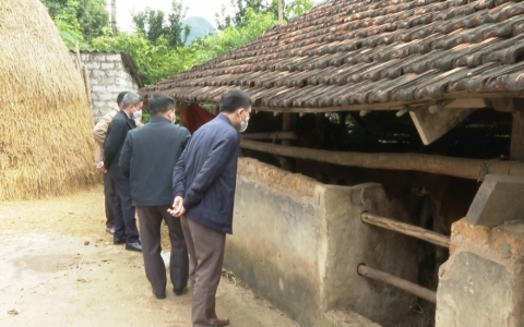 Kiểm tra ph&ograve;ng chống đ&oacute;i r&eacute;t cho đ&agrave;n vật nu&ocirc;i