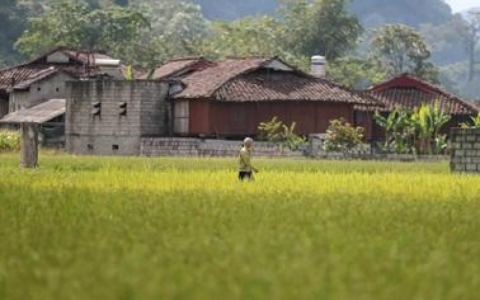 Ngôi làng người Tày ở Việt Nam là "Làng du lịch tốt nhất thế giới 2025"