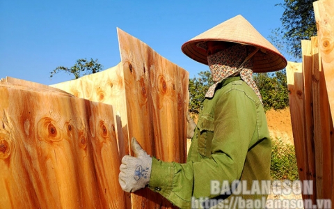 Chế biến gỗ b&oacute;c: Hướng ph&aacute;t triển kinh tế hiệu quả ở Minh Sơn