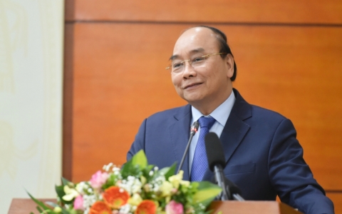 Đào rừng bị chặt bày la liệt thì làm sao còn một nông thôn miền núi rừng đẹp?