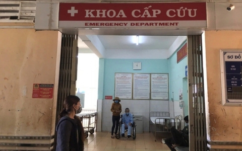 Gia Lai ghi nhận 2 trường hợp liên tiếp tử vong vì bệnh dại