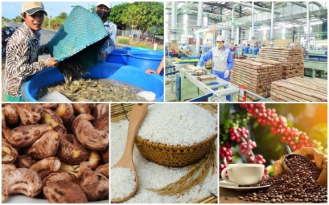 Điểm danh một số mặt h&agrave;ng n&ocirc;ng sản xuất khẩu vượt ngưỡng tỷ đ&ocirc;