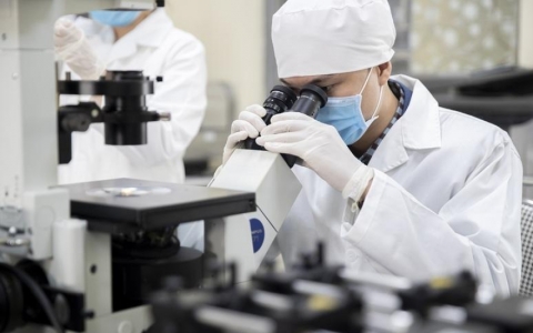 Nhiều đại học Việt Nam c&oacute; ng&agrave;nh lọt top thế giới