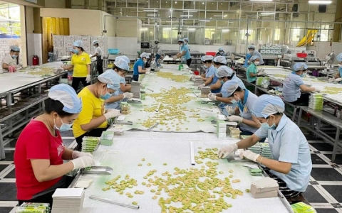 N&ocirc;ng nghiệp Việt Nam vững vai tr&ograve; trụ đỡ của nền kinh tế