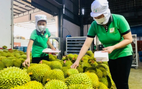 Vượt kh&oacute;, đẩy mạnh xuất khẩu