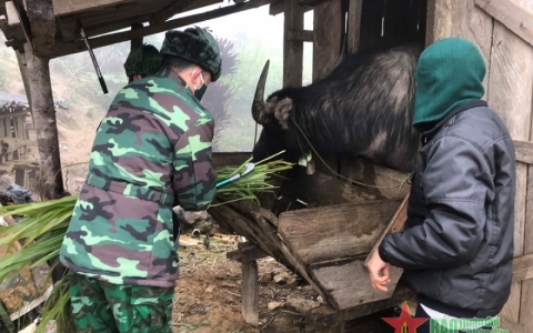 Nghệ An: Đồn Biên phòng Na Loi vận động người dân chủ động chống rét cho vật nuôi