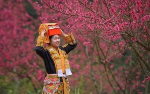 Rực sắc đ&agrave;o nơi bi&ecirc;n giới, Lạng Sơn mở hội đ&oacute;n du kh&aacute;ch suốt 2 th&aacute;ng