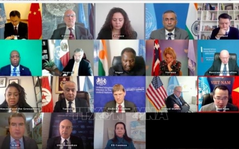 Việt Nam chia sẻ kinh nghiệm ph&aacute;t triển bền vững th&ocirc;ng qua c&ocirc;ng nghệ số tại LHQ