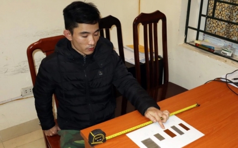 Bé gái 3 tuổi bị cắm đinh vào đầu: Tìm thấy 10 chiếc đinh