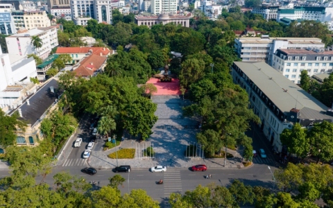 Cơ quan chuyên môn vào cuộc vụ đề xuất chặt hạ, dịch chuyển nhiều cây xanh