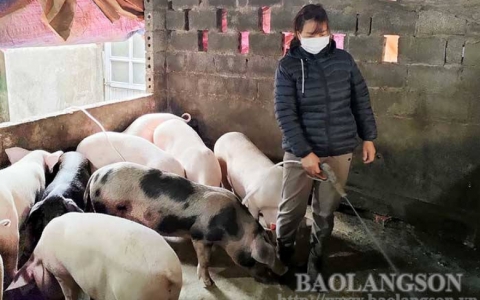 Hội Phụ nữ Hữu Lễ tích cực thực hiện các phong trào thi đua