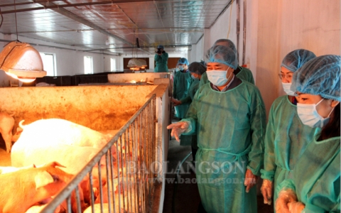 L&atilde;nh đạo UBND tỉnh kiểm tra m&ocirc; h&igrave;nh sản xuất tại th&agrave;nh phố Lạng Sơn