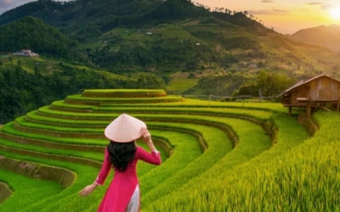 Một trong 5 điểm đến quốc tế c&oacute; lượng t&igrave;m kiếm nhiều nhất gọi t&ecirc;n Việt Nam