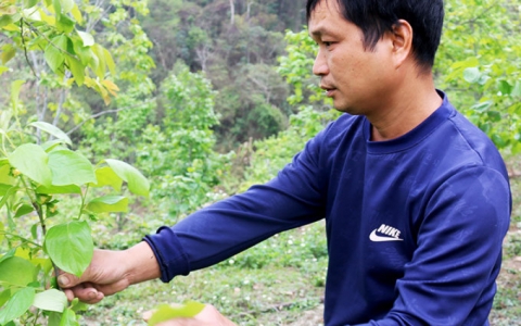 Hội N&ocirc;ng d&acirc;n x&atilde; Ho&agrave;ng Việt: Chung sức x&acirc;y dựng n&ocirc;ng th&ocirc;n mới