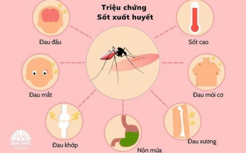 Sốt xuất huyết trên thế giới gia tăng