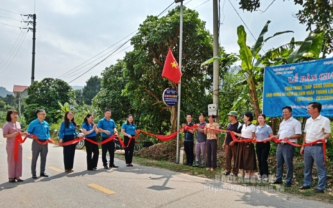 Bàn giao công trình thắp sáng đường thôn tại xã Xuân Dương, huyện Lộc Bình