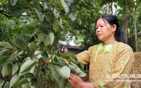 Cao Lộc giảm ngh&egrave;o bền vững