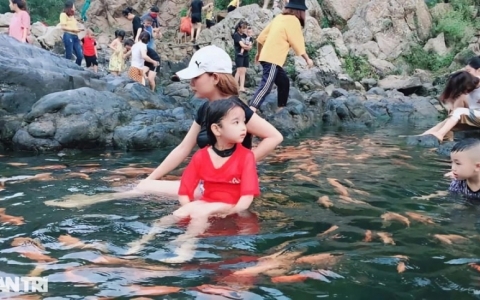 Chiêm ngưỡng dòng suối cá vàng độc đáo ở miền Tây xứ Nghệ