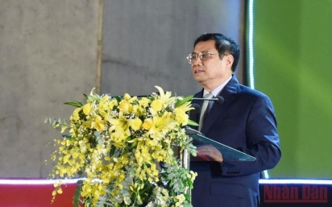 Nỗ lực để n&ocirc;ng nghiệp Việt Nam c&oacute; vị tr&iacute; cao hơn tr&ecirc;n bản đồ n&ocirc;ng nghiệp thế giới