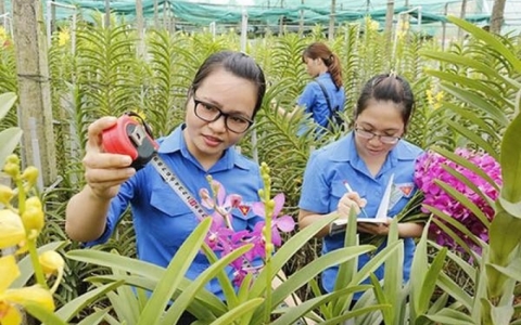 Phấn đấu hỗ trợ ít nhất 35.000 doanh nghiệp do thanh niên làm chủ