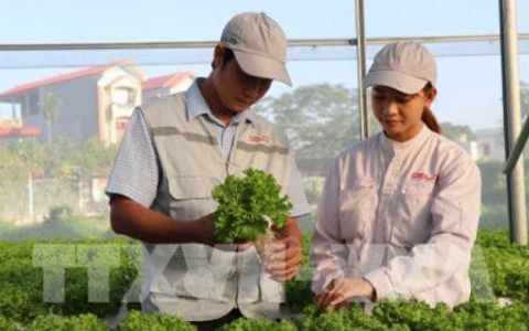 Bắc Giang ứng dụng c&ocirc;ng nghệ số trong sản xuất n&ocirc;ng nghiệp